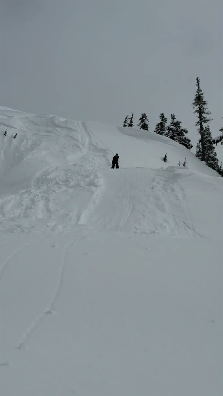 Video post from gnusnowboards.