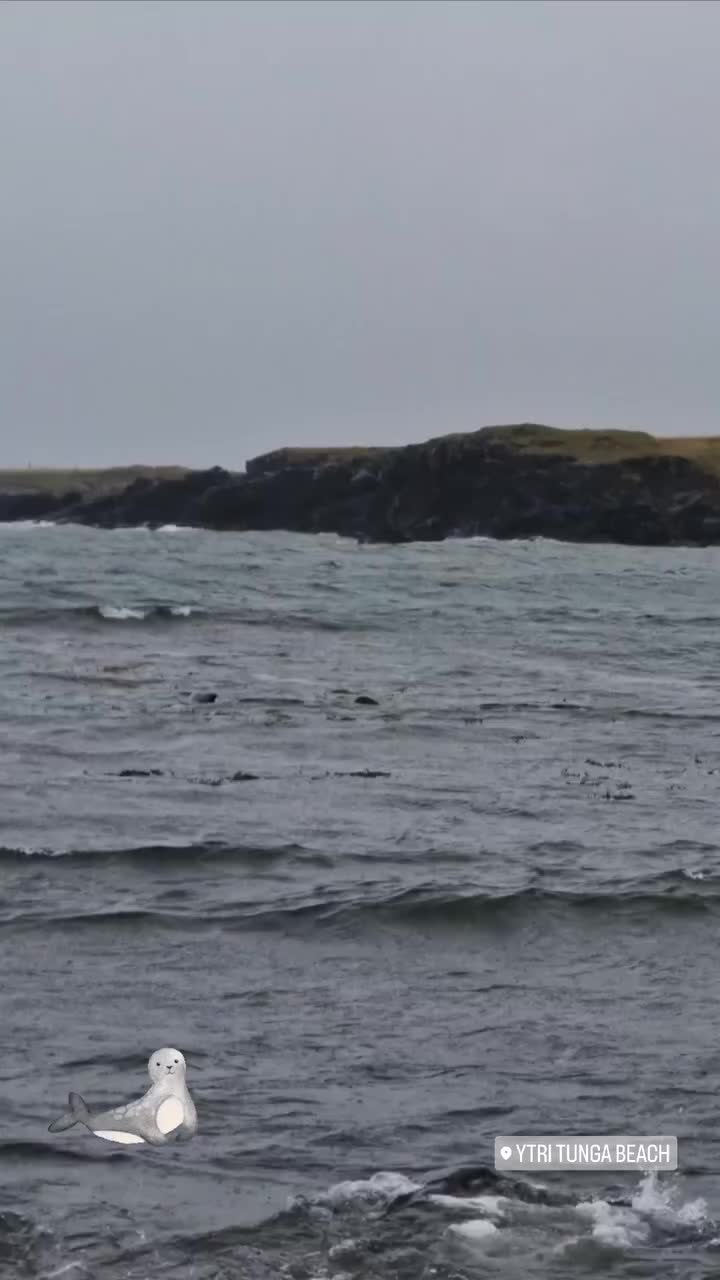 Video post from mallorca_abenteuer_travels.