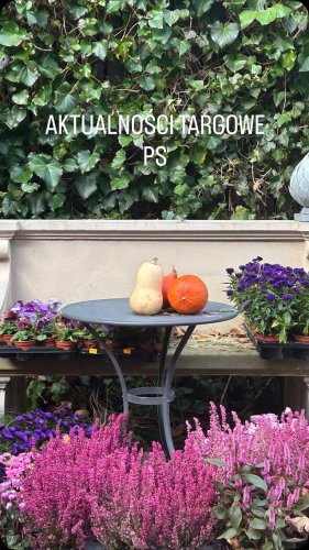 Video post from chronos_collection.