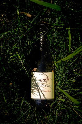 Photo post from gundogestate.