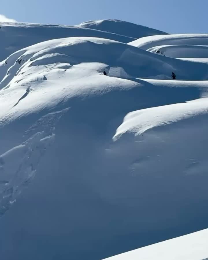 Carousel post from libtechnologies.