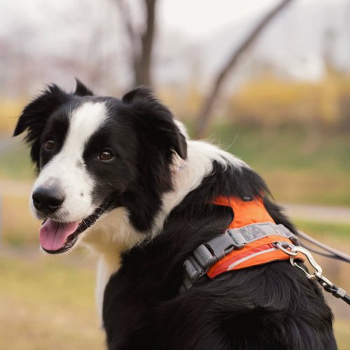 Carousel post from sophiehappy2024.