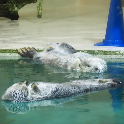 Photo post from pon.pon.pon1127.