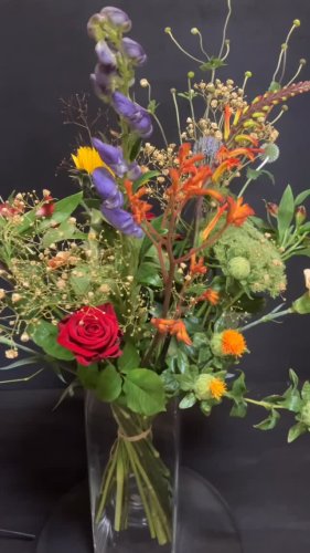 Video post from dellemannbloemen.