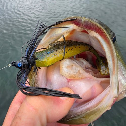 Photo post from garrettscustoms.