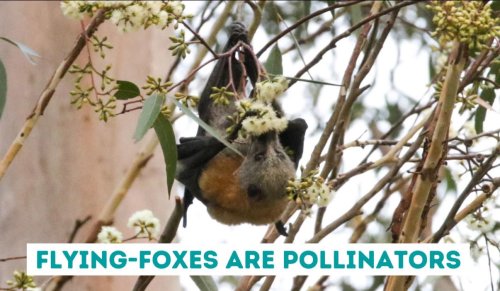 Photo post from sas2481.