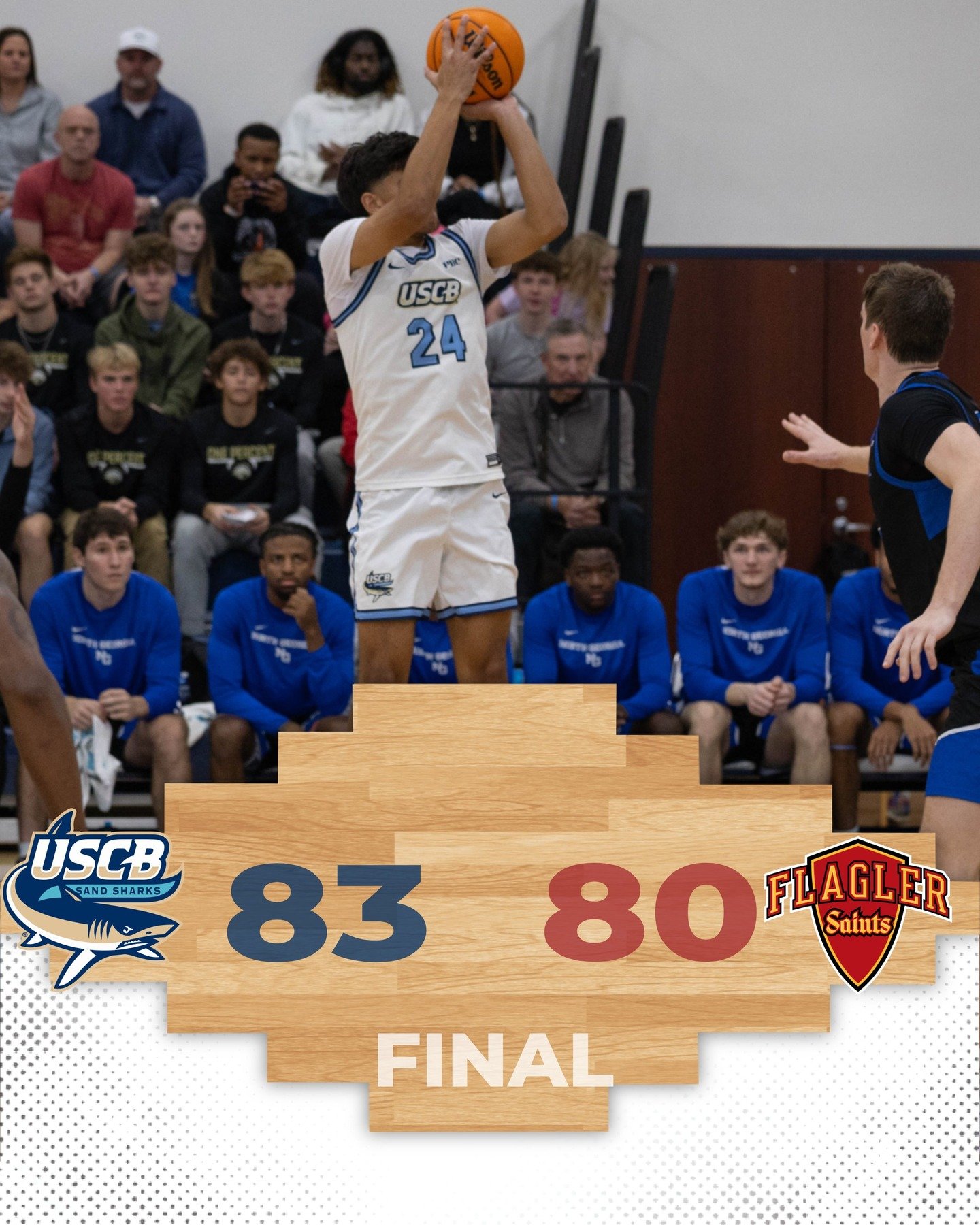 Photo post from uscbsandsharks.