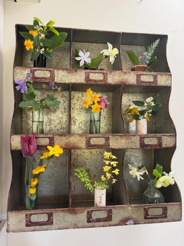 Photo post from gardenhousebrighton.