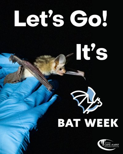 Photo post from nckri.