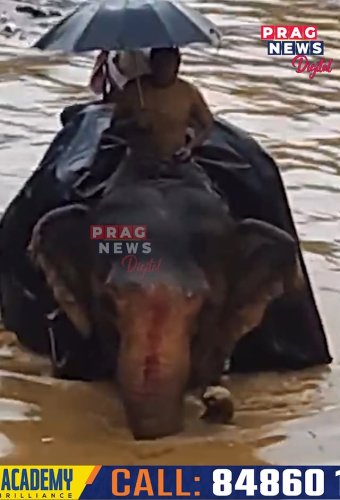 Video post from pragnewsofficial.