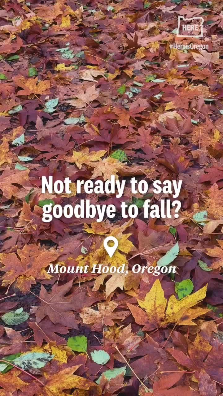 Video post from hereisoregon.