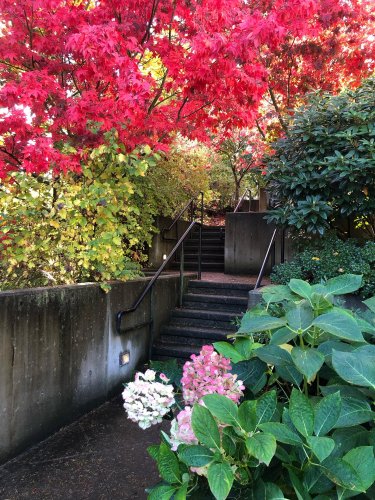 Carousel post from cottonwoodholistic.