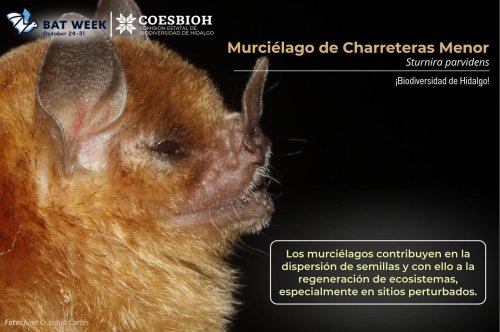 Photo post from coesbioh.