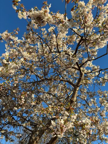 Photo post from gardenhousebrighton.