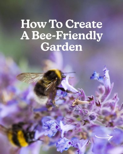 Carousel post from edinburghhoneyco.