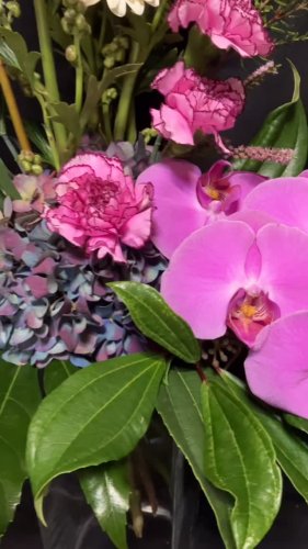 Video post from dellemannbloemen.