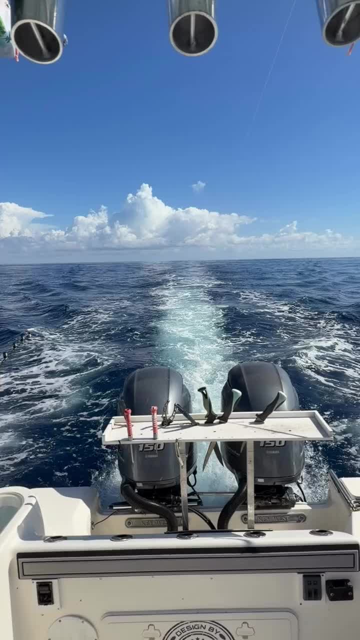 Video post from ejs_fishing_charters.