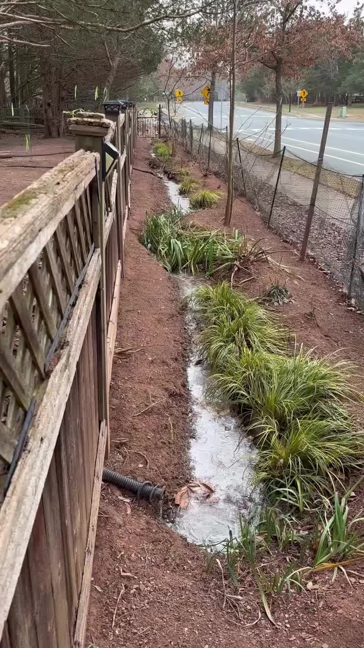 Video post from mireade2025.