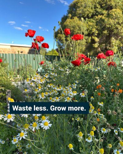 Photo post from alburycity.