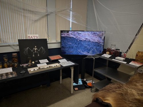 Photo post from umassnaturalhistorycollections.