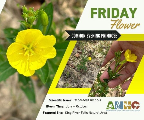 Photo post from ar_naturalheritage.