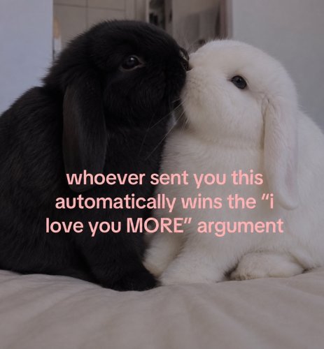 Photo post from njexoticpets.