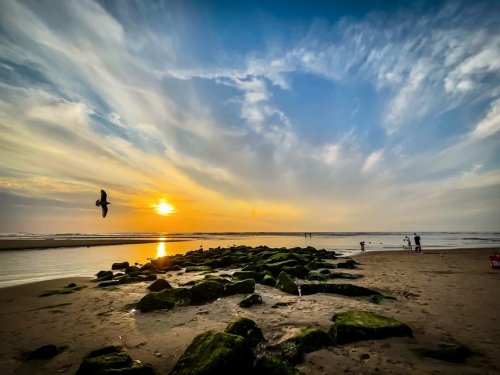 Photo post from ditiskatwijk.