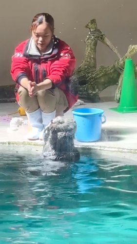 Video post from rara.muni_59421.