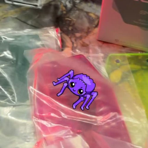 Video post from njexoticpets.