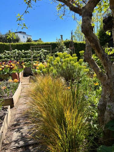 Photo post from gardenhousebrighton.