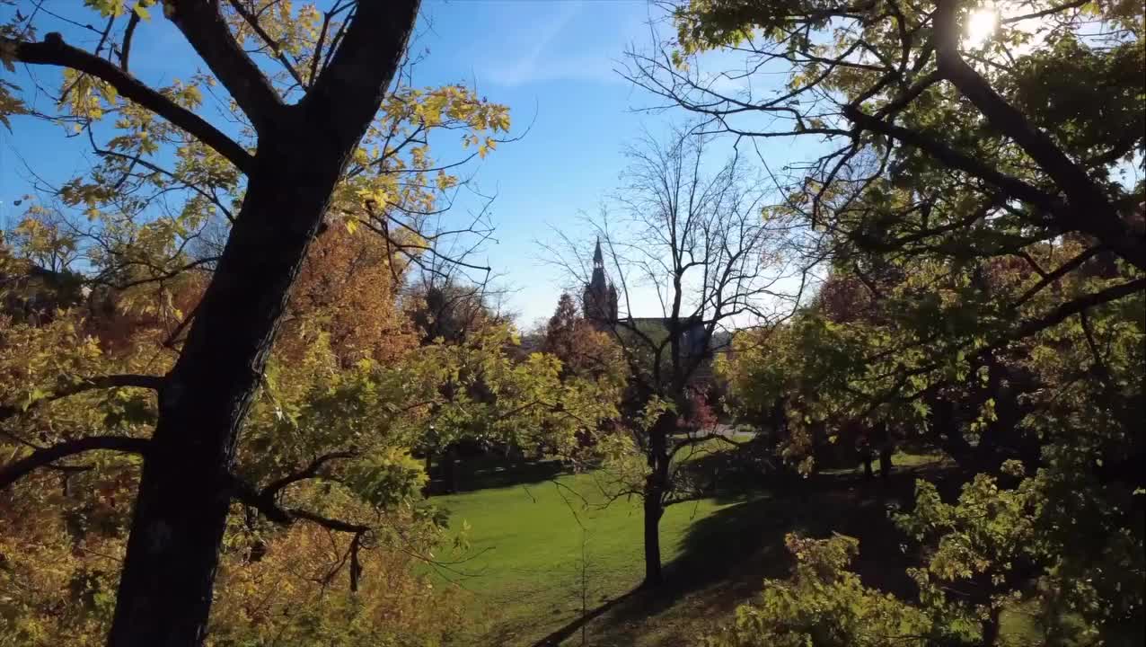 Video post from wittenberguniversity.