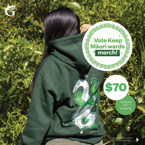 Carousel post from nzgreenparty.