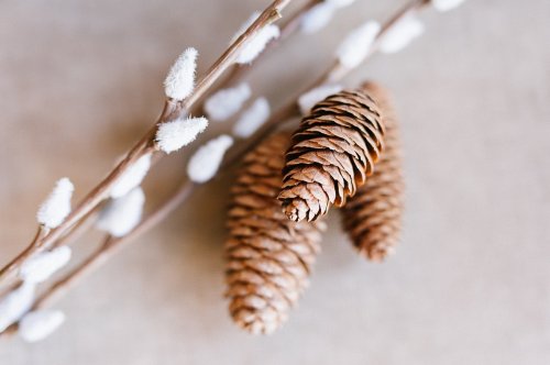 Carousel post from hotelvaratruro.