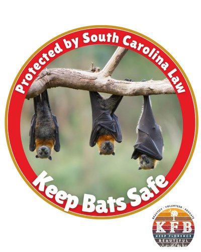 Photo post from wearekfb.