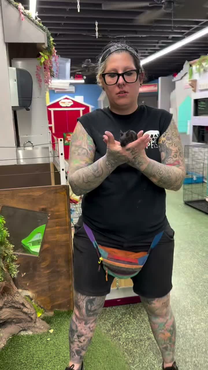 Video post from njexoticpets.
