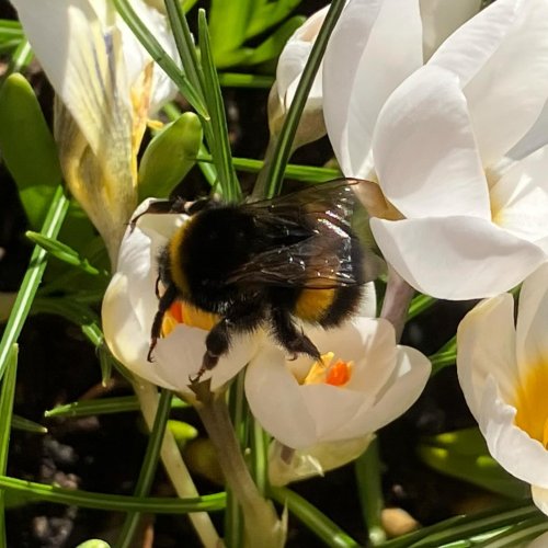 Carousel post from sallyr.w.