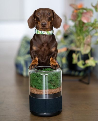 Photo post from briiv.natural.