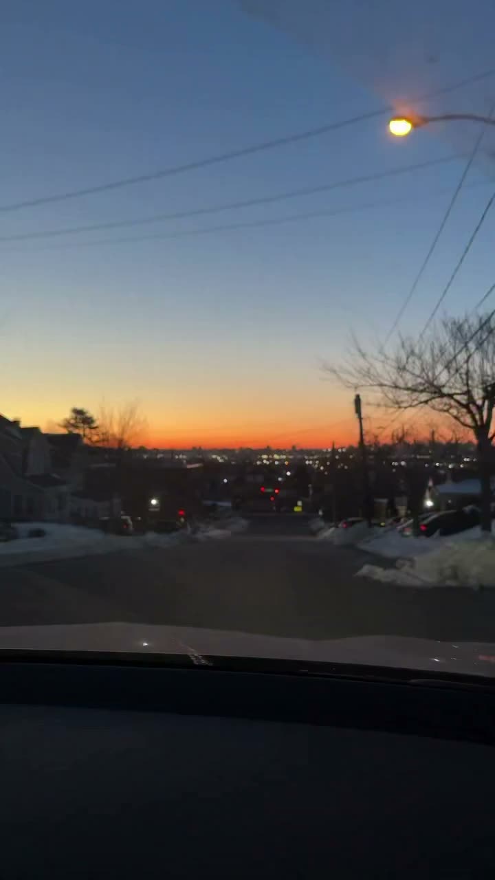 Video post from njexoticpets.