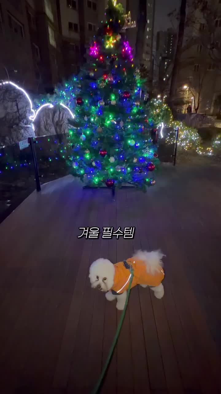 Video post from mybabytyrant.