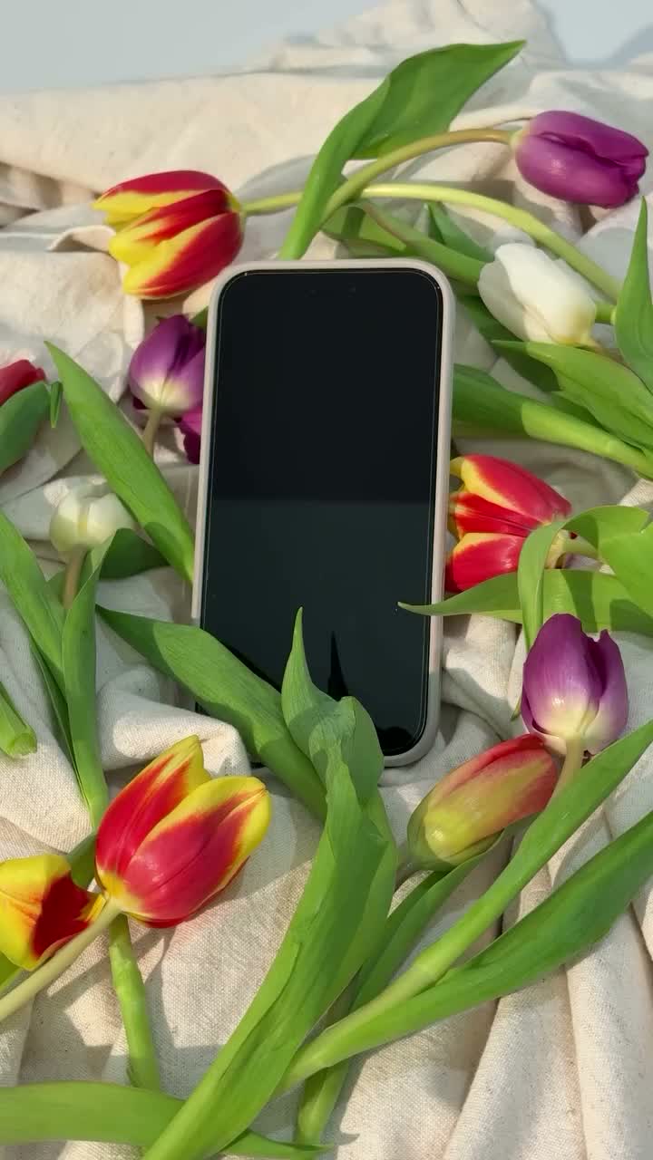 Video post from belkin_uk.