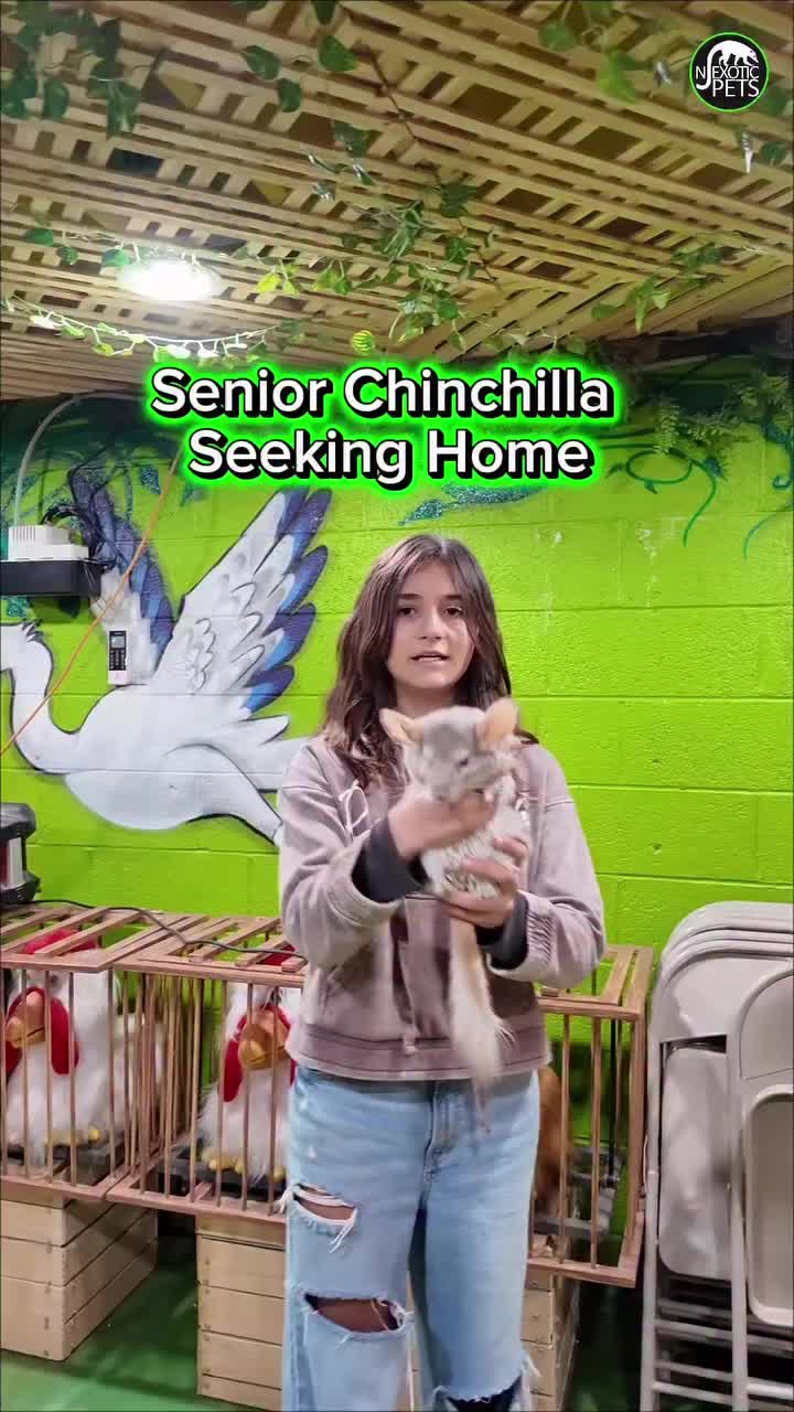 Video post from njexoticpets.