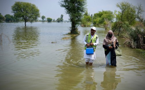 Carousel post from pakfightspolio.