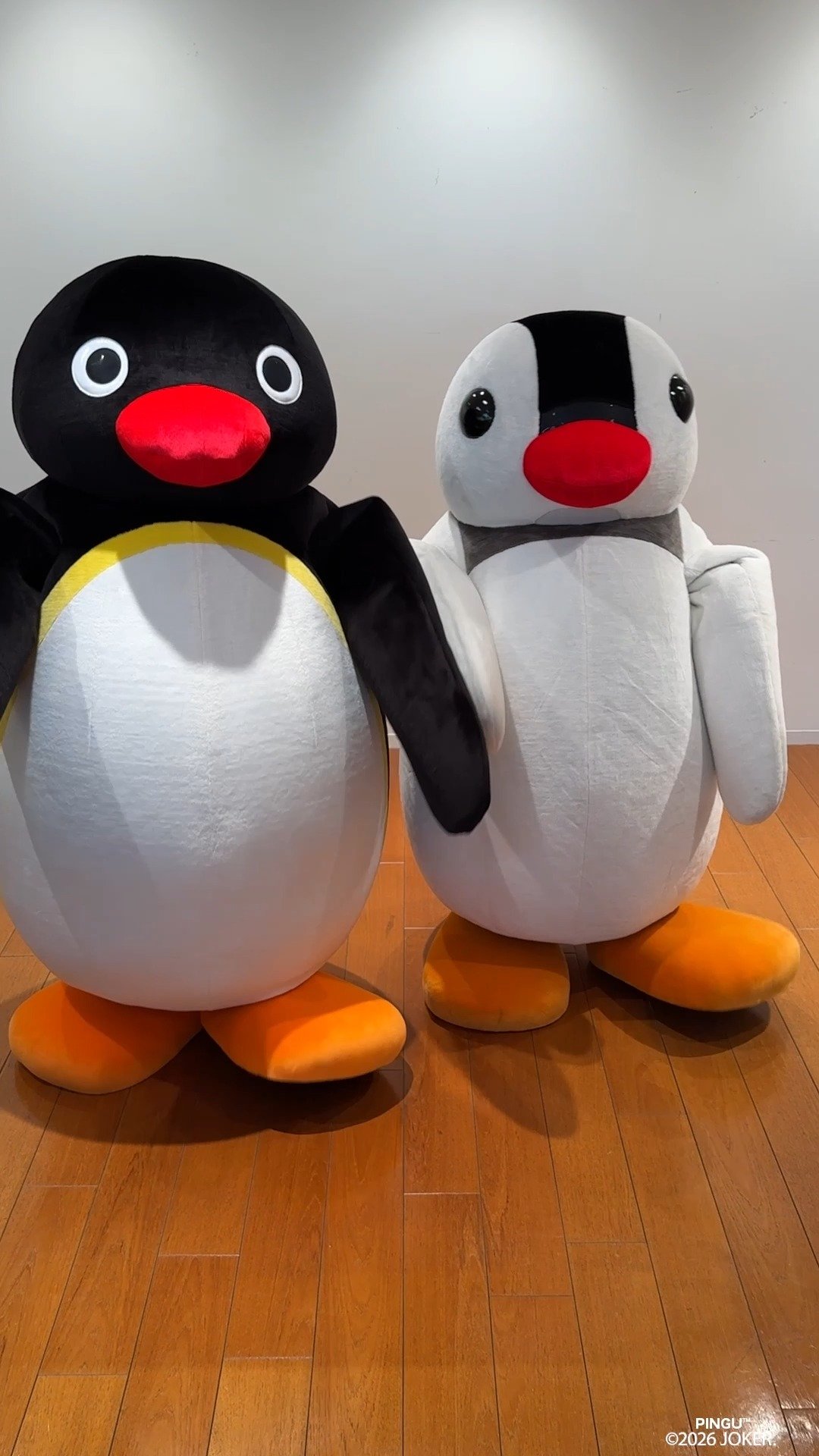 Video post from pingu_jp.