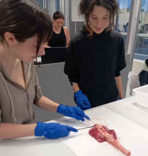 Carousel post from ellacuriazurbaranbhi.