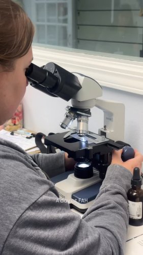 Video post from familyanimalhospitalcm.