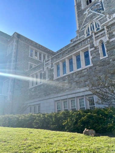 Photo post from bostoncollege.