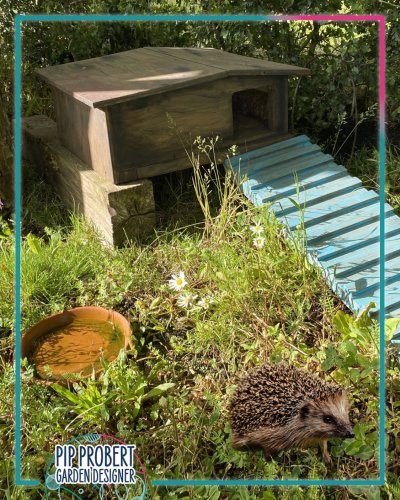 Photo post from pipprobertgardendesigner.