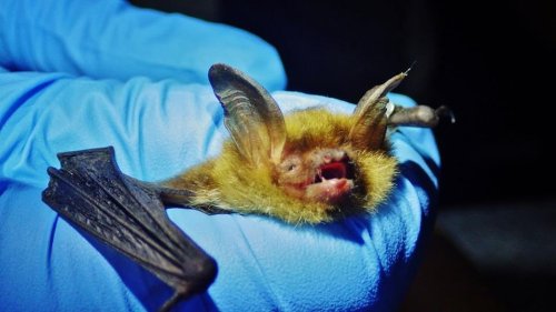 Photo post from minnesotadnr.