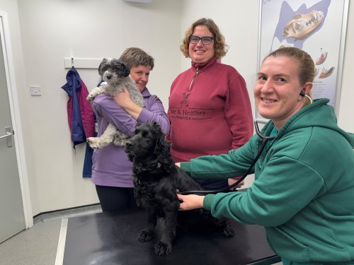 Photo post from bramleynewspaper.