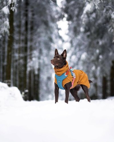 Carousel post from hurttakorea.